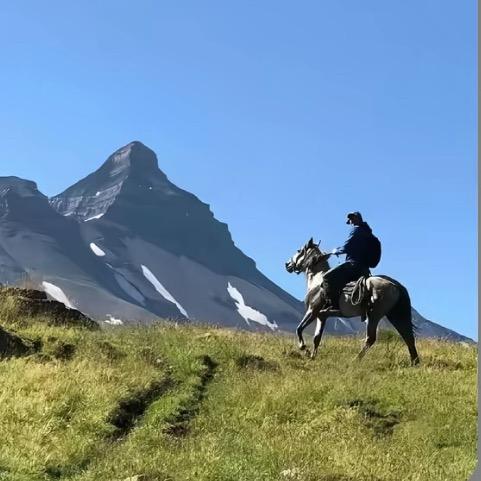 L来时的路