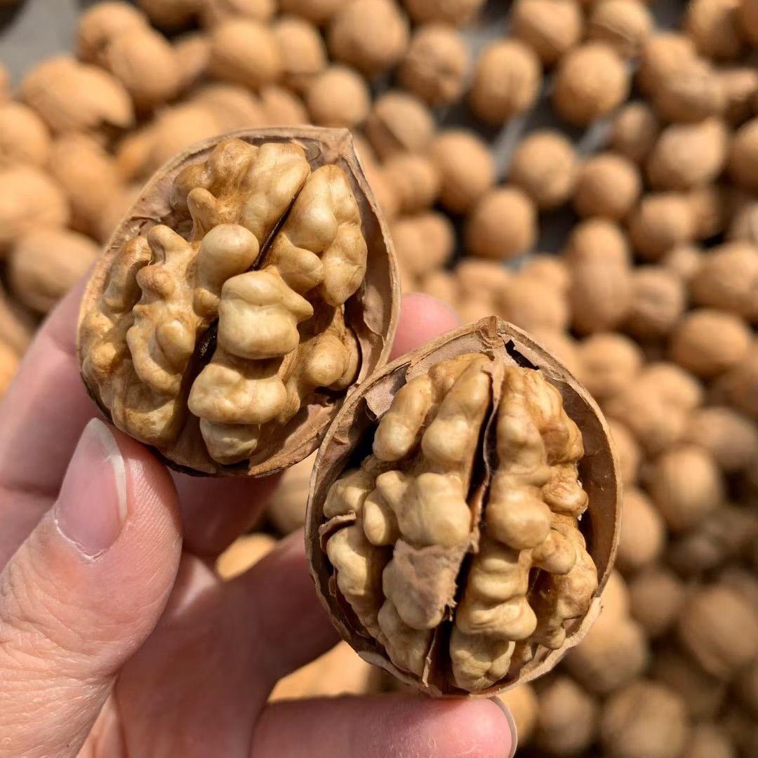 大量收购185纸皮核桃