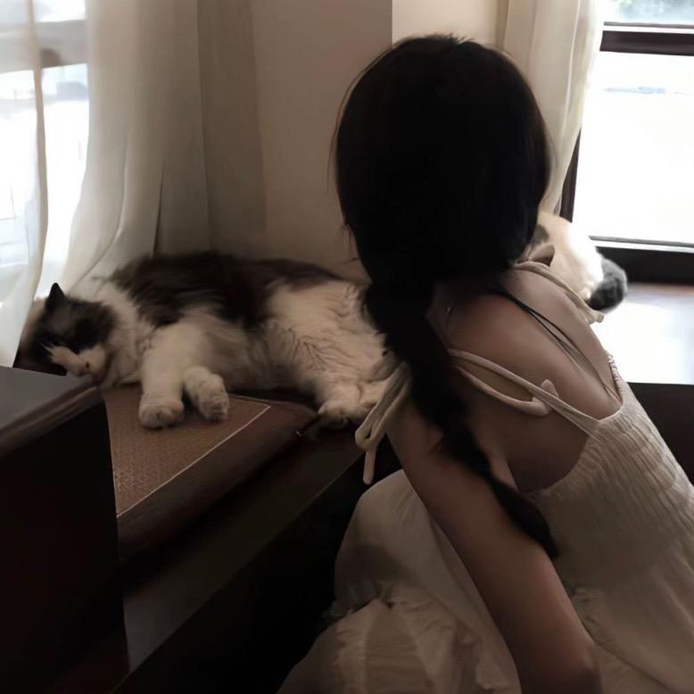 星期八在睡觉💤
