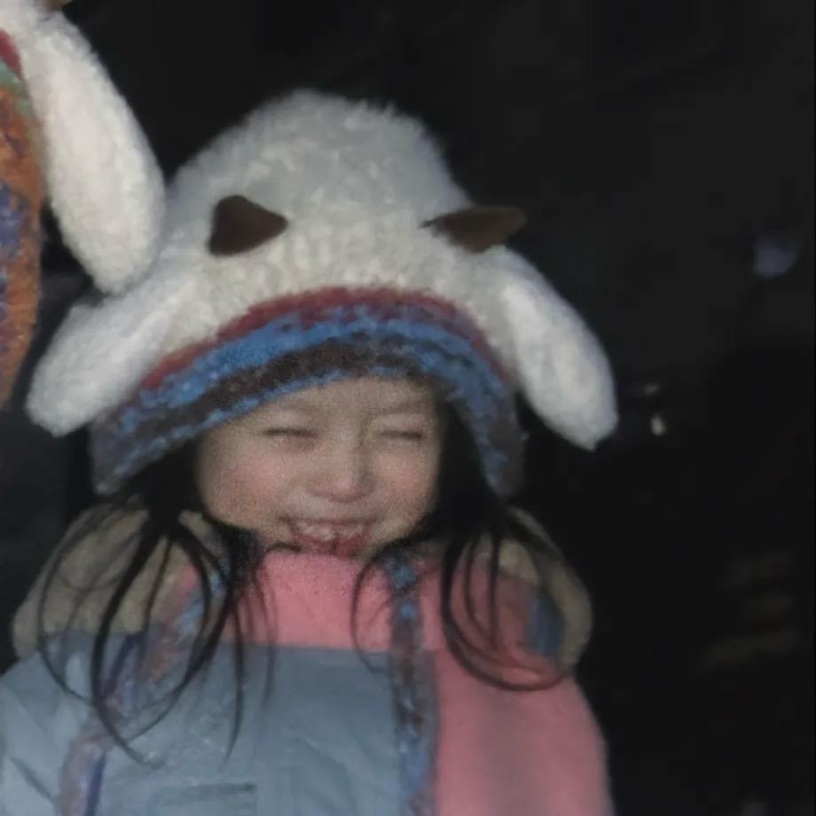 小小肥羊驼