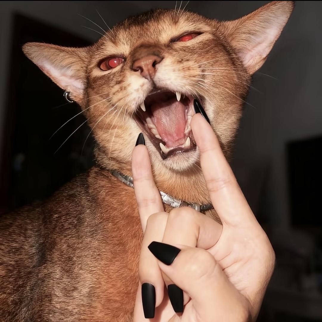 2366
