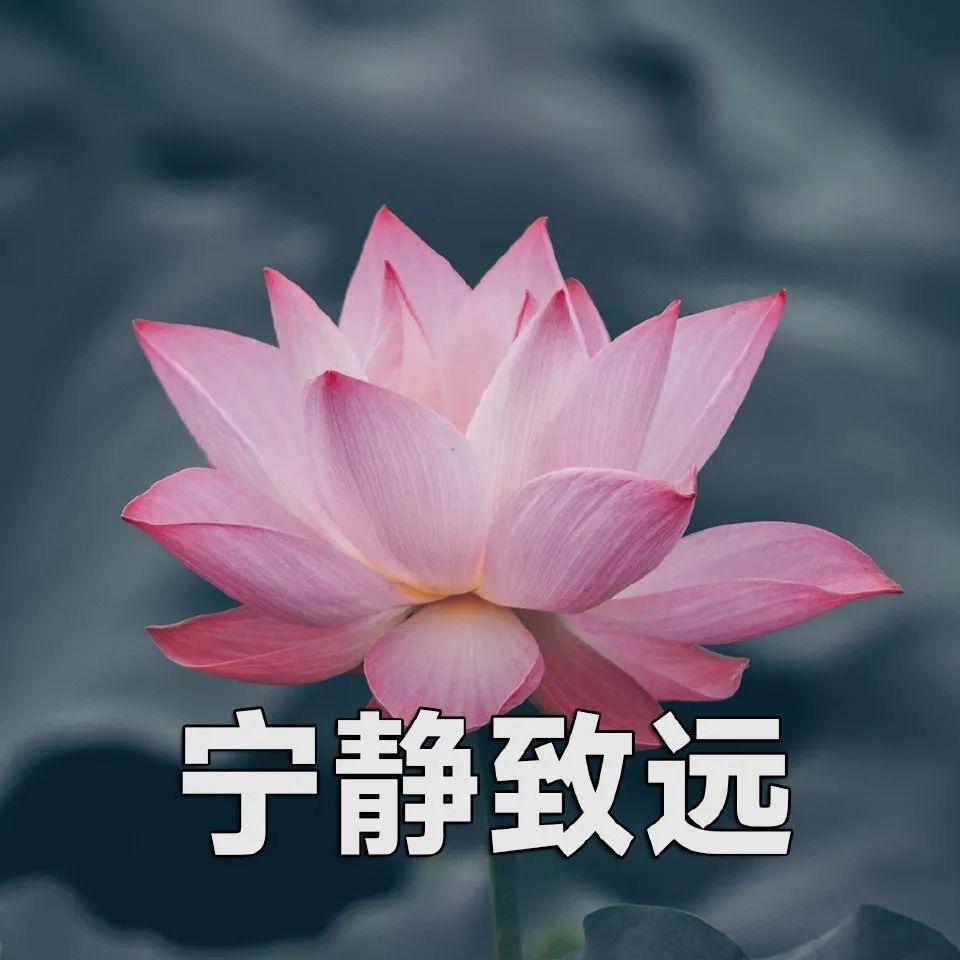 西瓜蟹