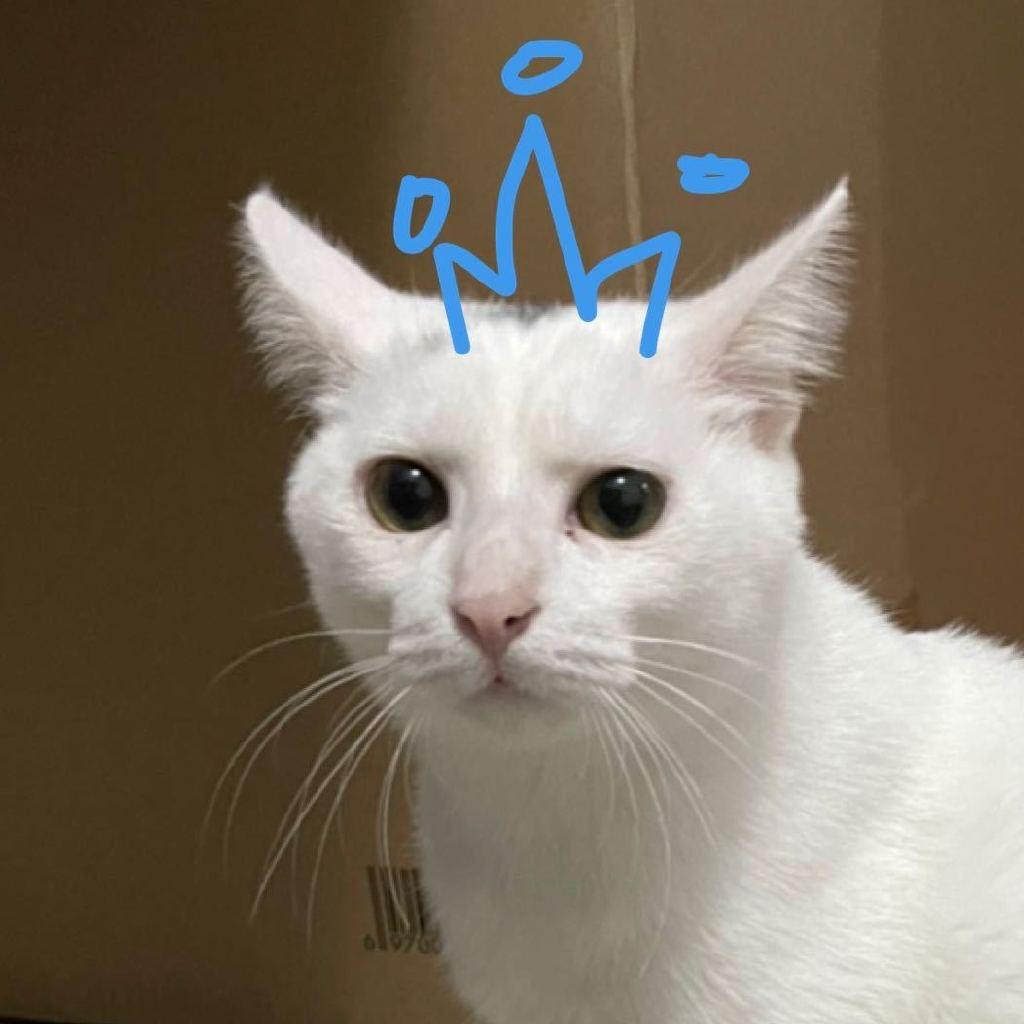 半生熟