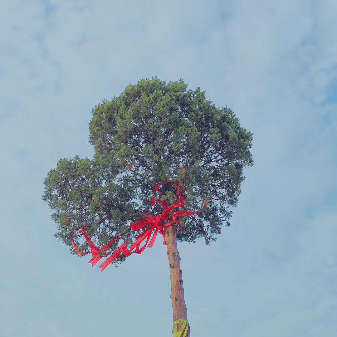 肉嘟嘟的小胖zi