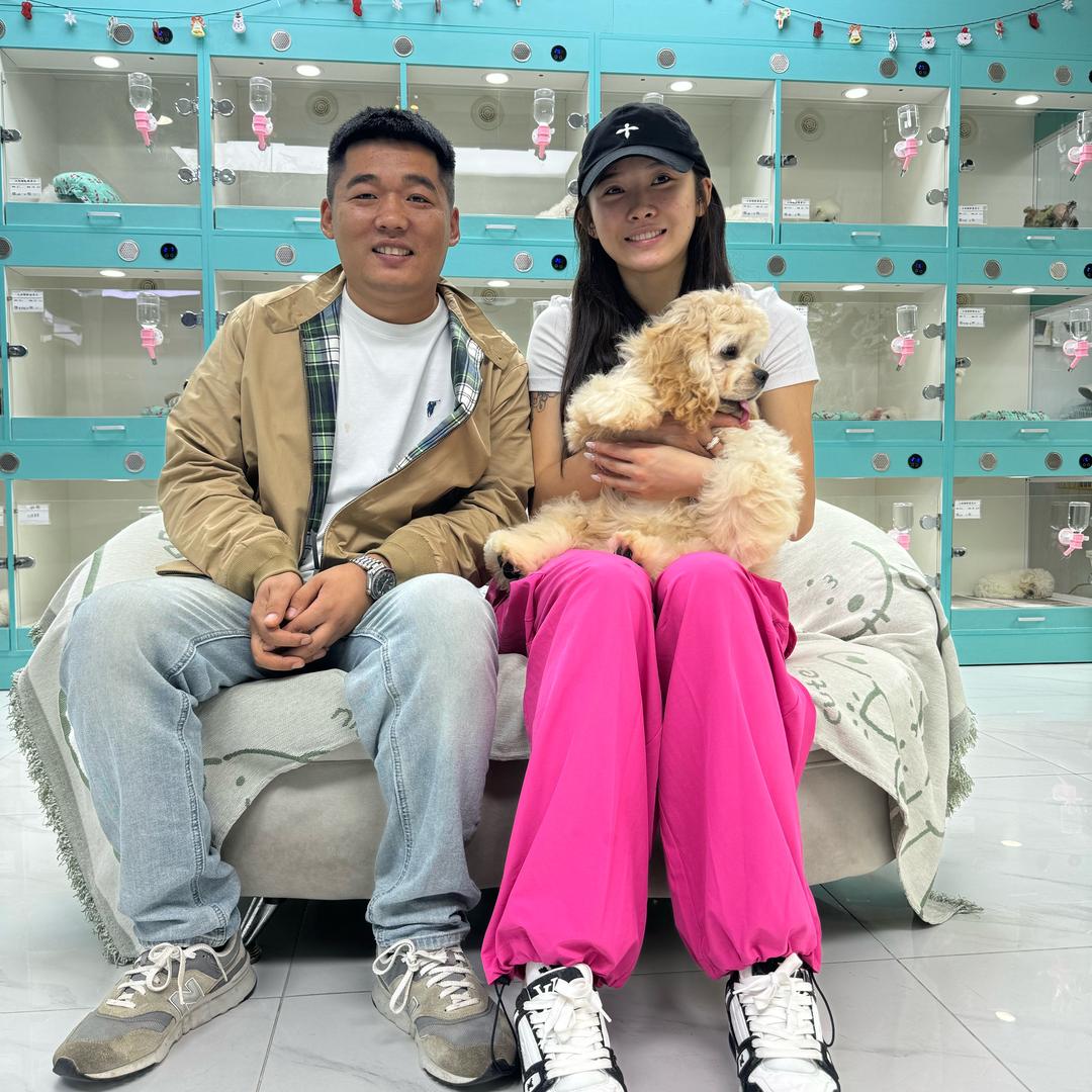 小陈哥家的迪斯尼卡通小狗