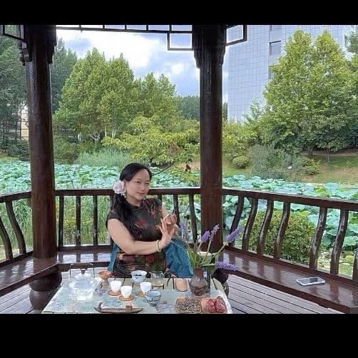 茶三姐-雨林古茶