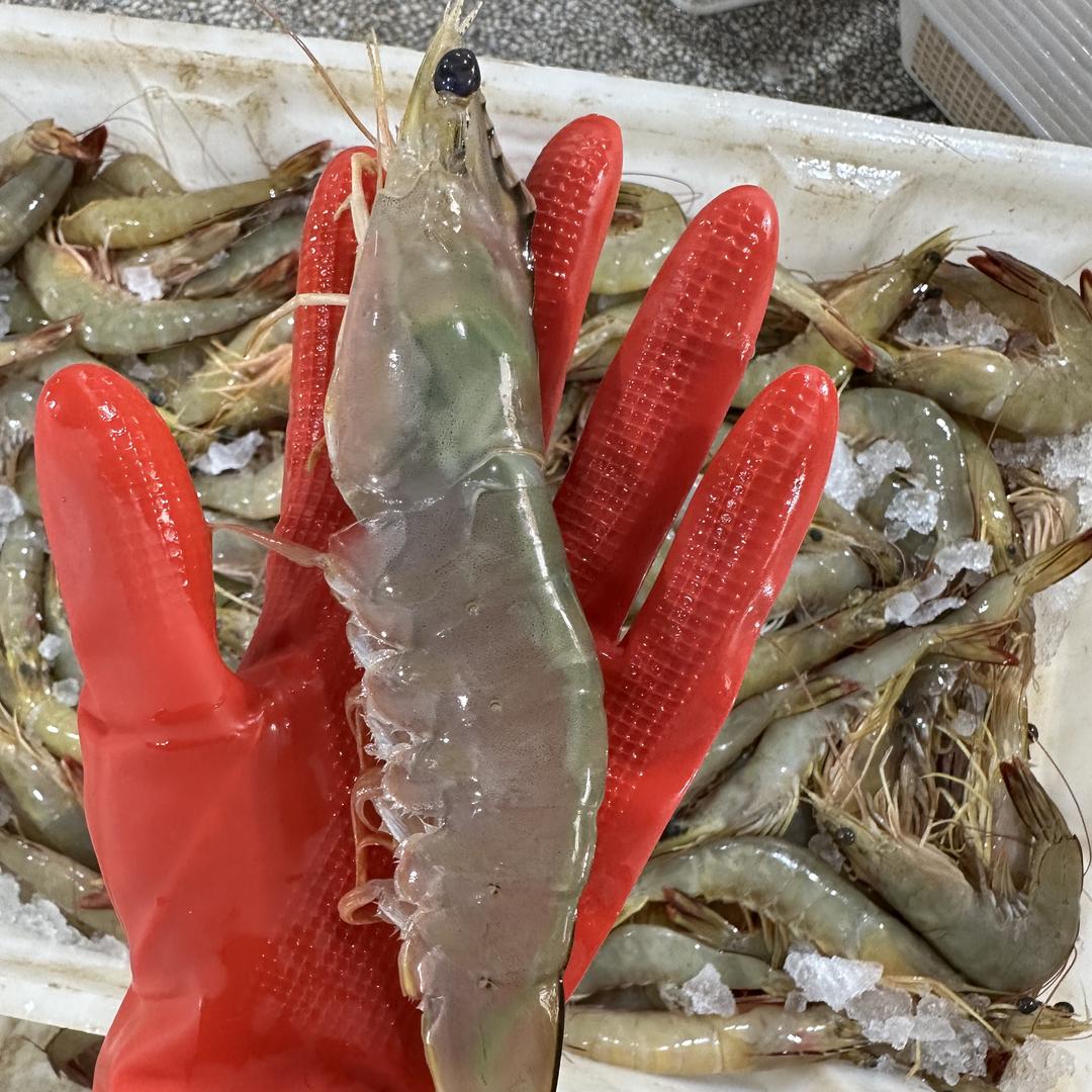 柒柒海鲜甄选