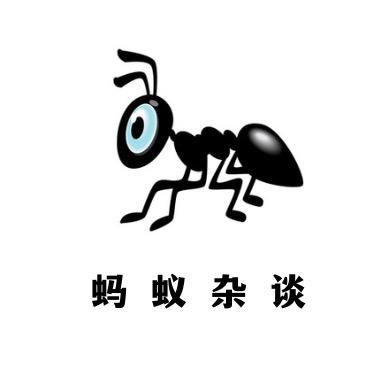 蚂蚁杂谈