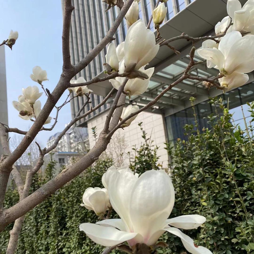 🌈怀念那些事…