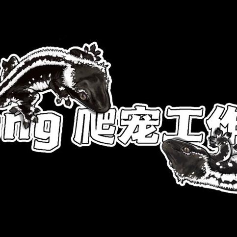 Dong爬宠工作室