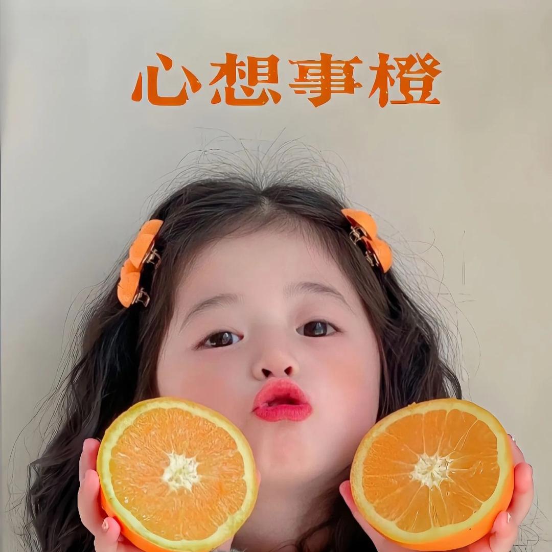 知苒安笙🌸头像