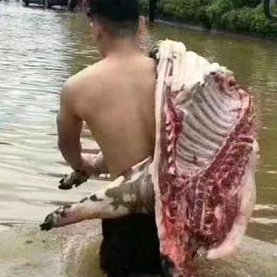 卢宇澌