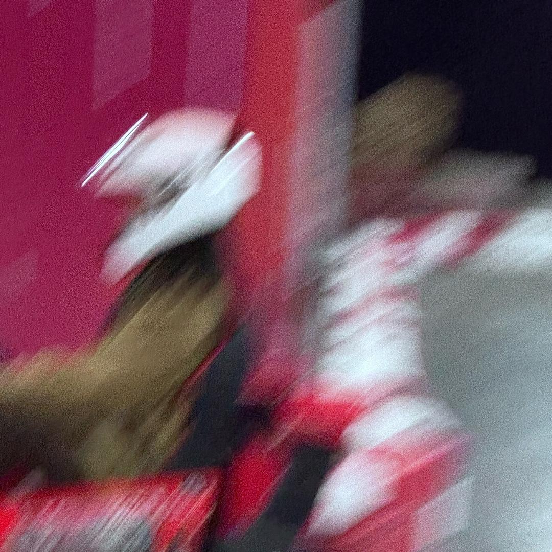 你看到的惊鸿都曾被平庸历练