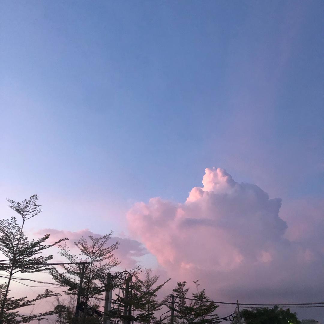 云仔仔