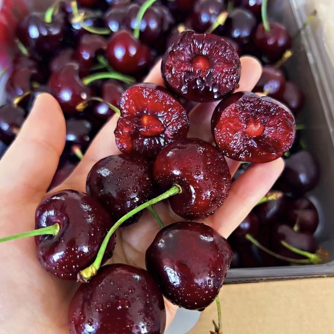 上海满山猴子供应链有限公司