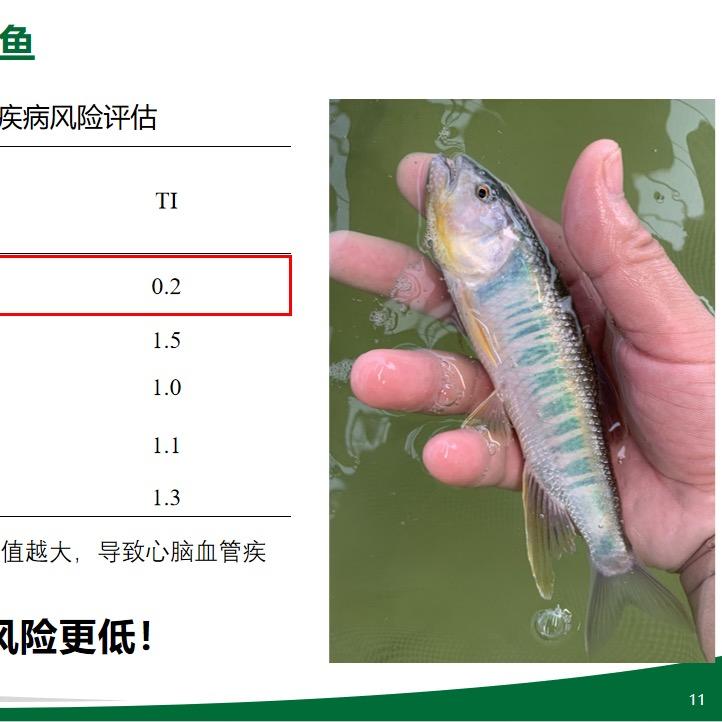 千湖马囗垂钓园