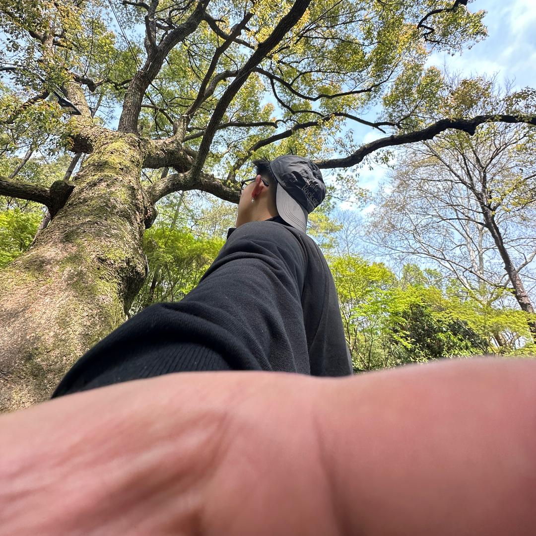 没状态