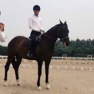 御马苑-Mr.R🐴
