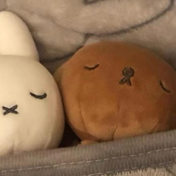 l-ln7-（恩师李冠）