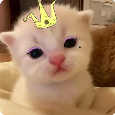 阿茗