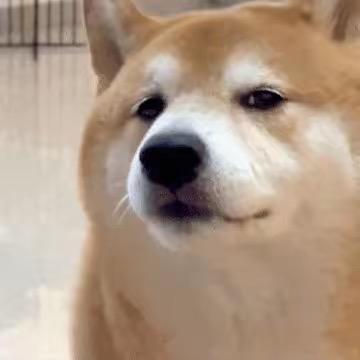 xiao-杰