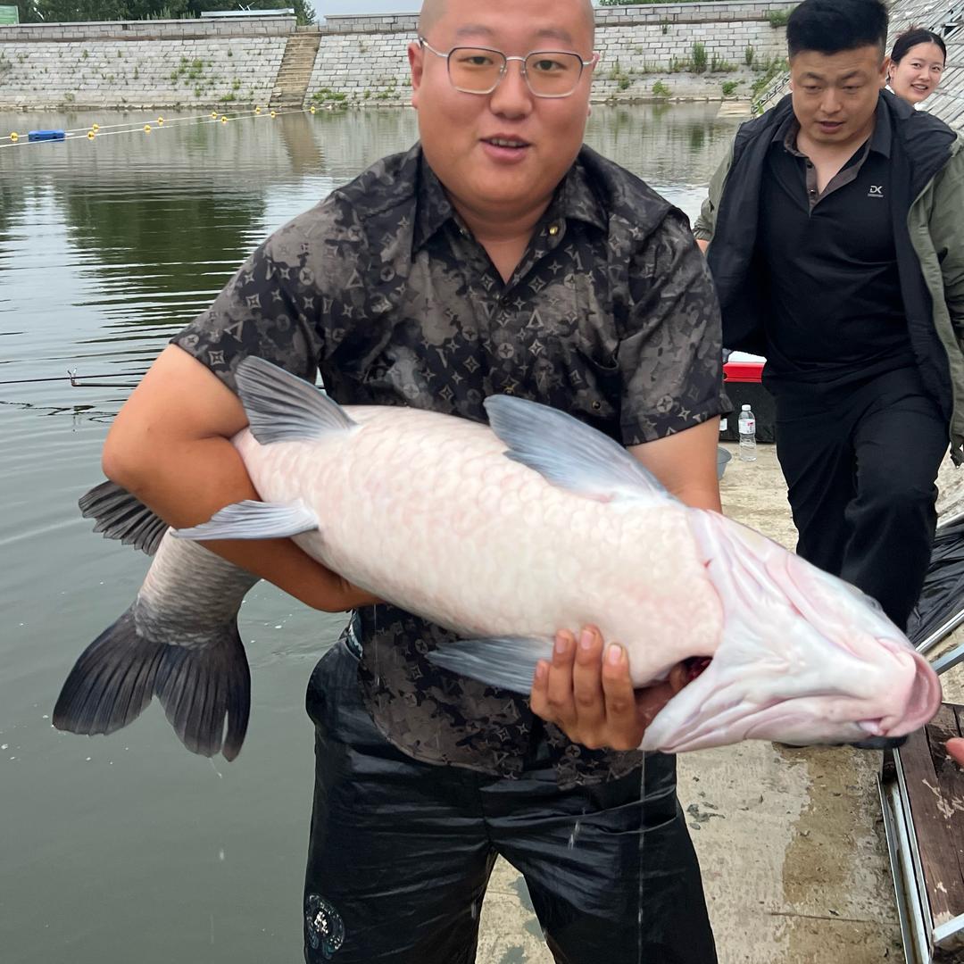 威涛休闲塘