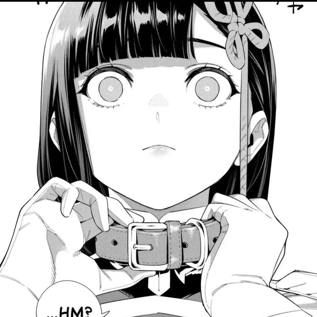 狸花猫
