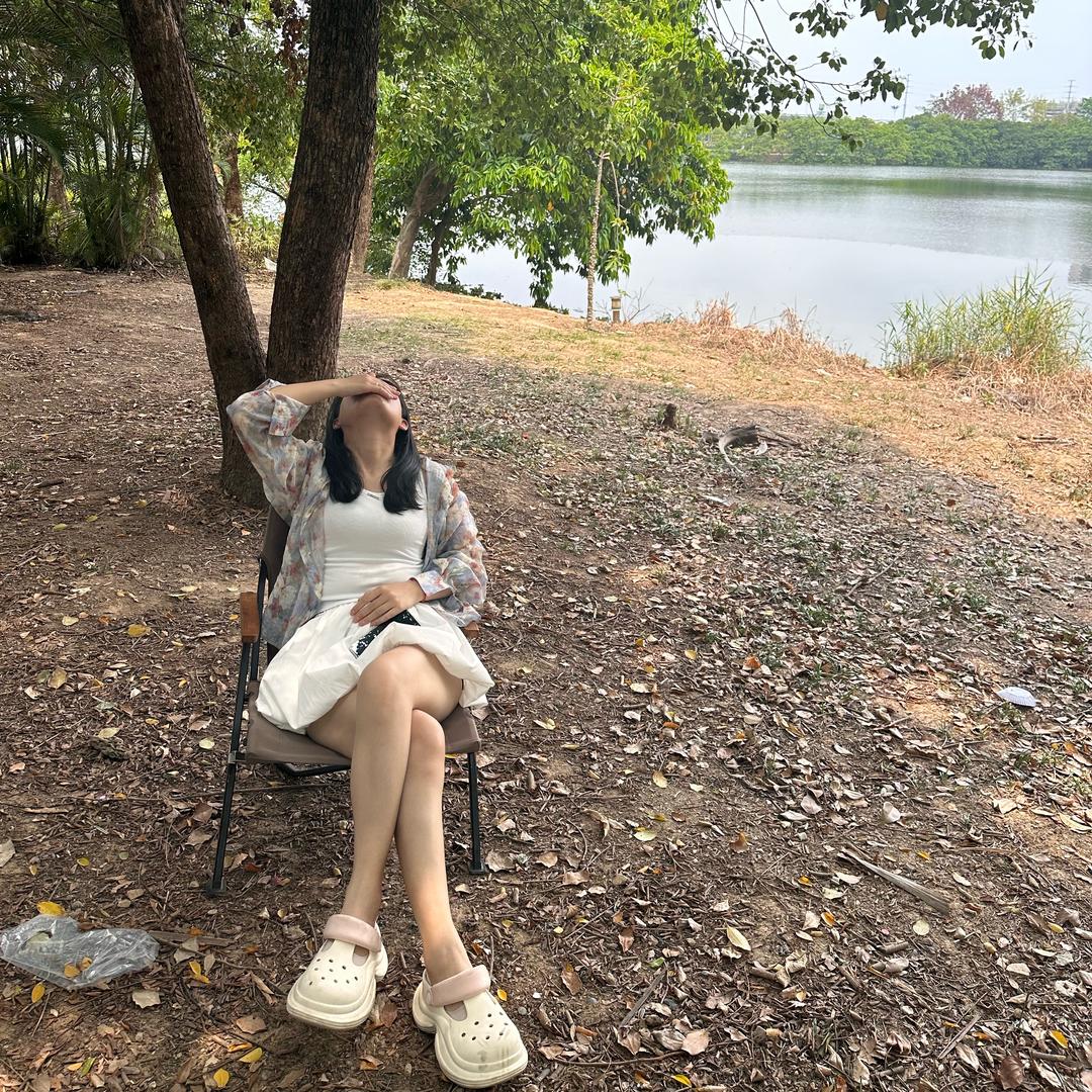 해바라기