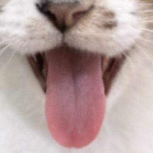 米粥