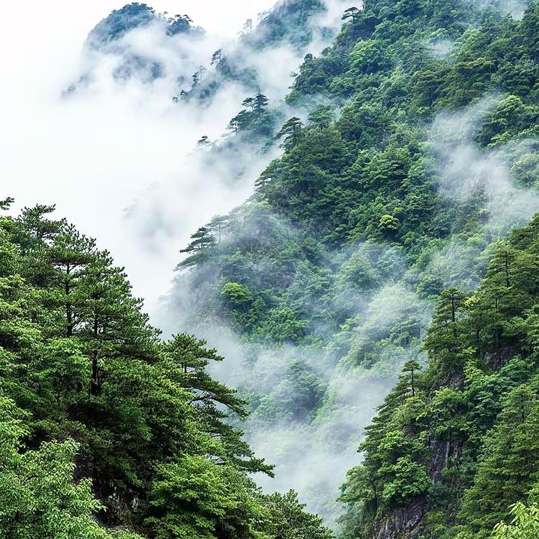 杨杨山货优选6