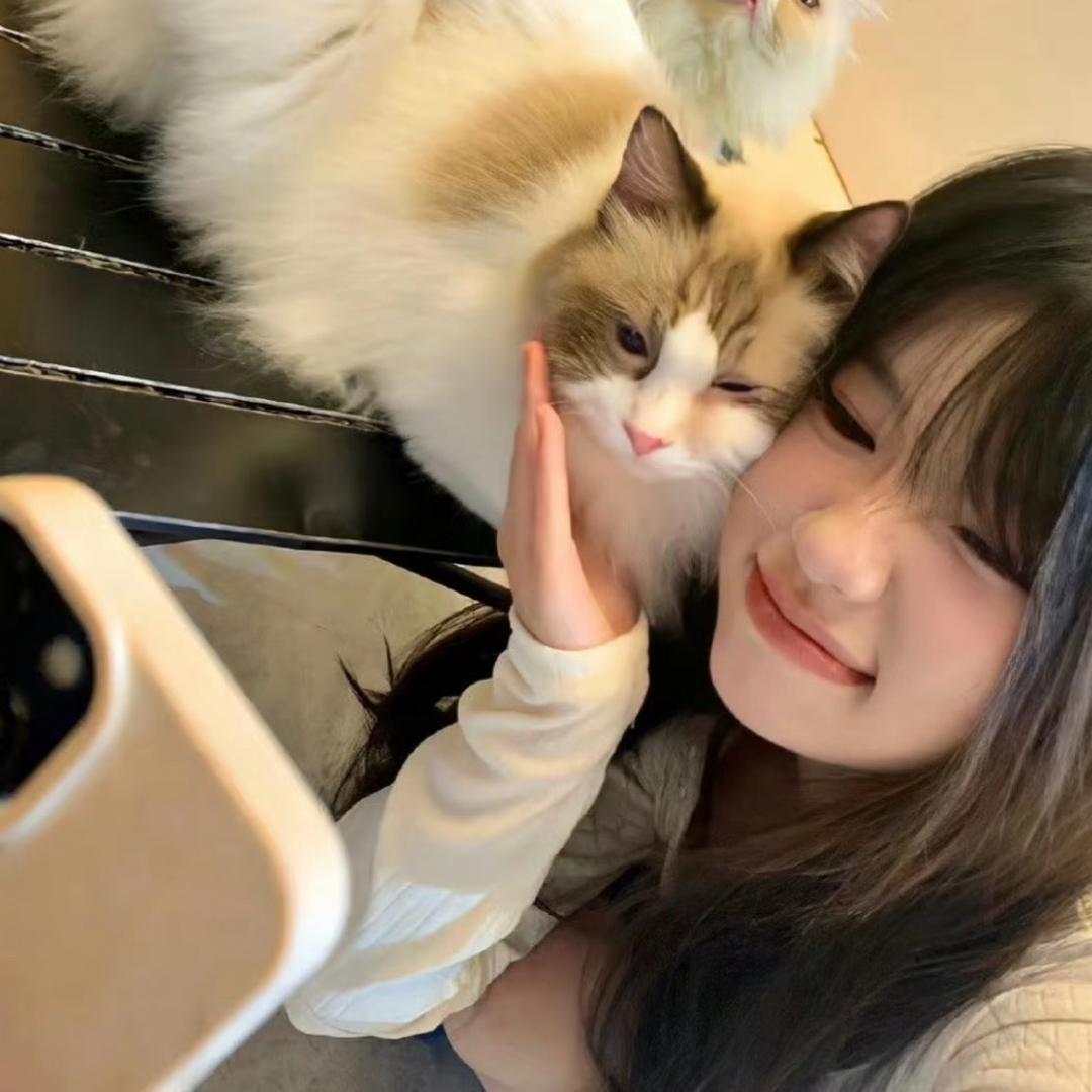 热爱工作的小海绵⸝⸝꙳