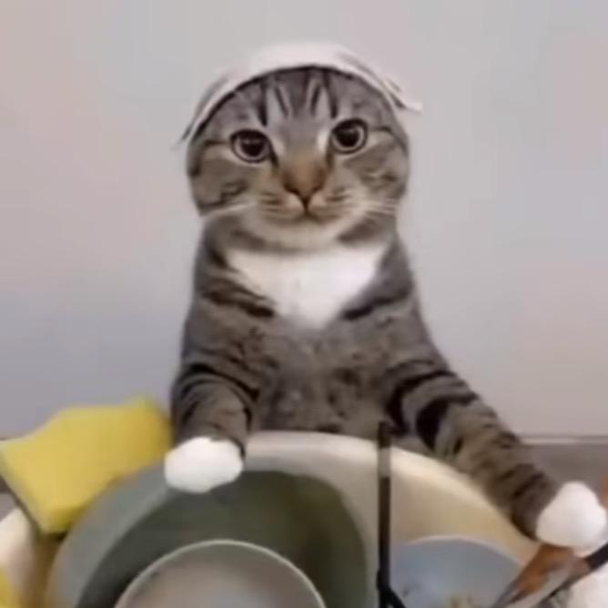 椿怀.