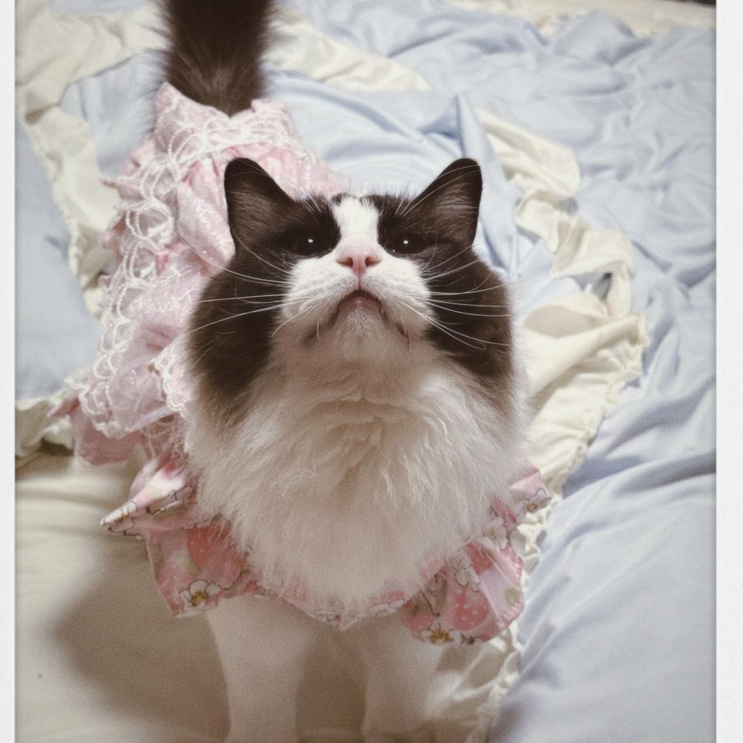 。。。