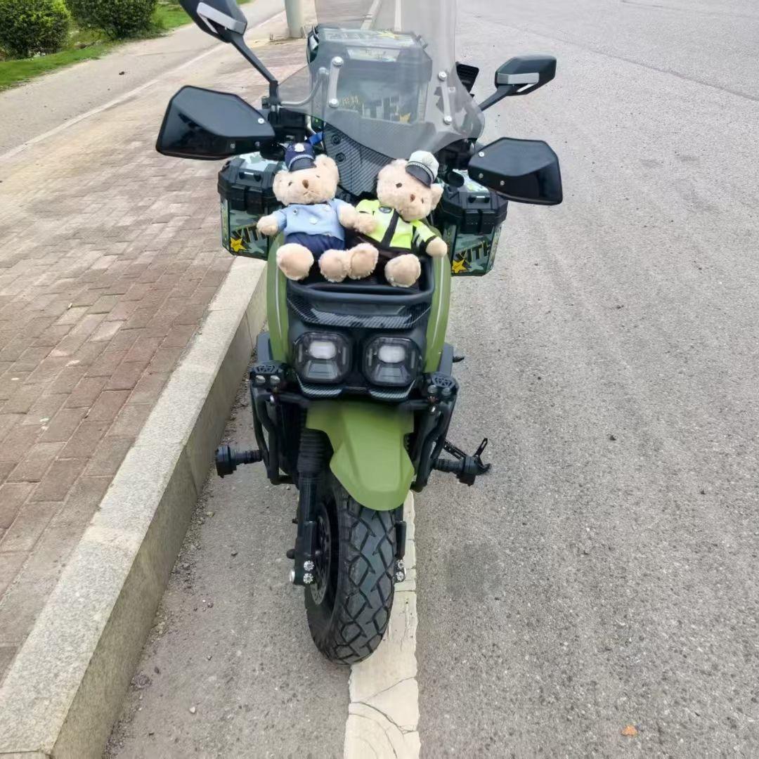 环县浪子虎哥02684