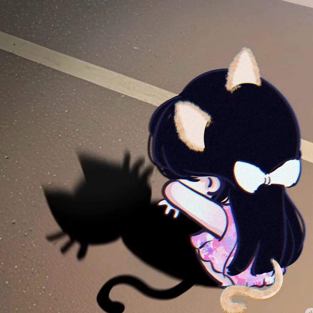 小卡喵咪🐈