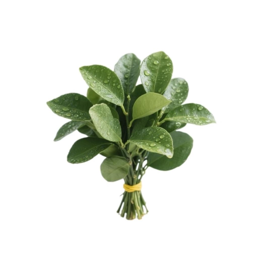 Aaa