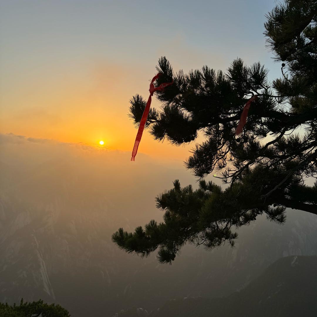 执着。