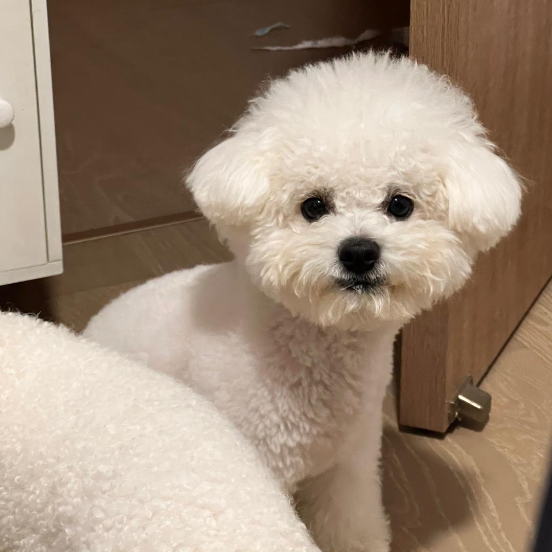 葡萄漏
