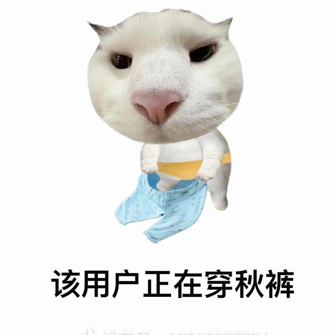 该用户正在穿秋裤