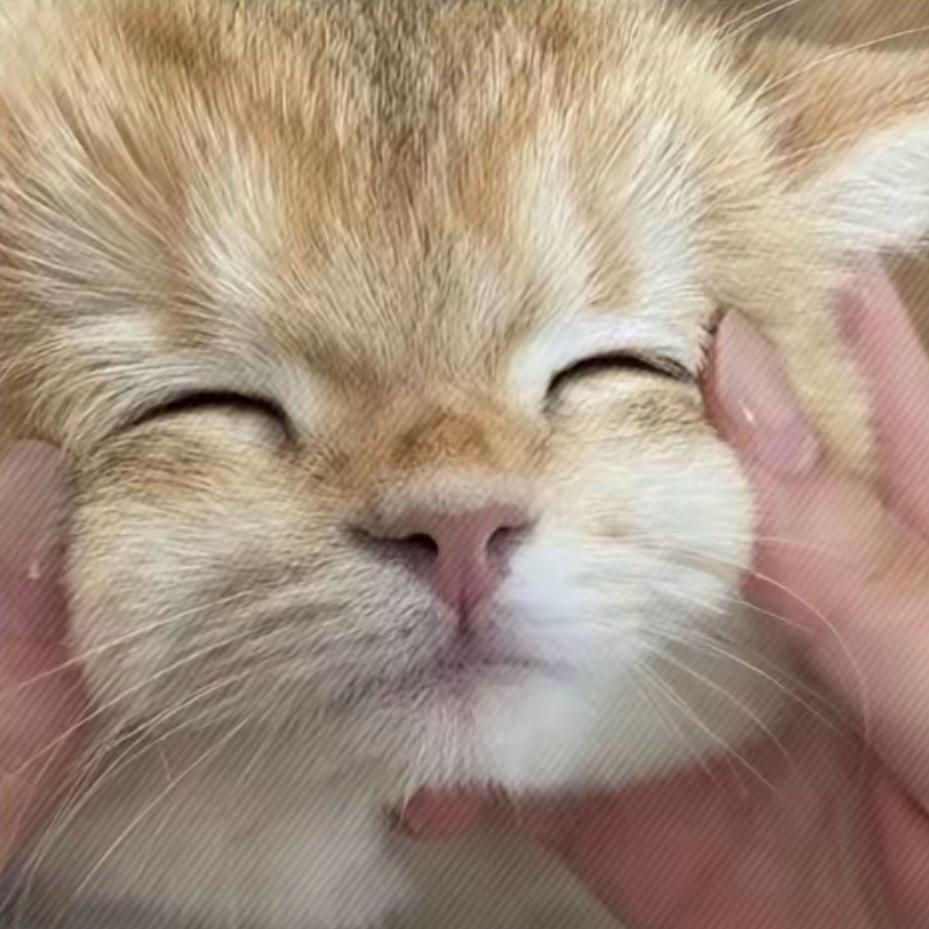 呼呼呼