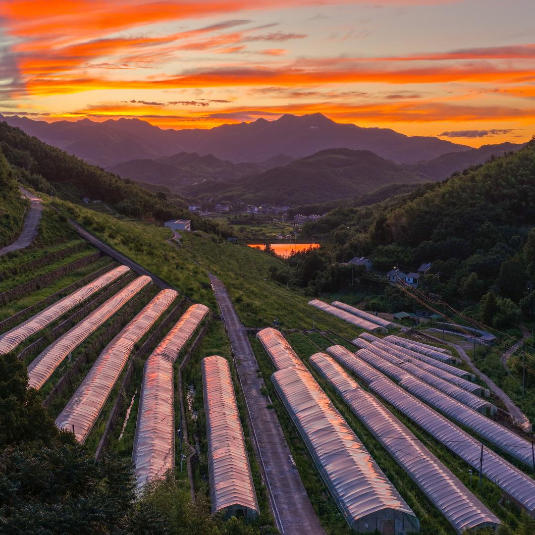 杭州富阳卿园农场