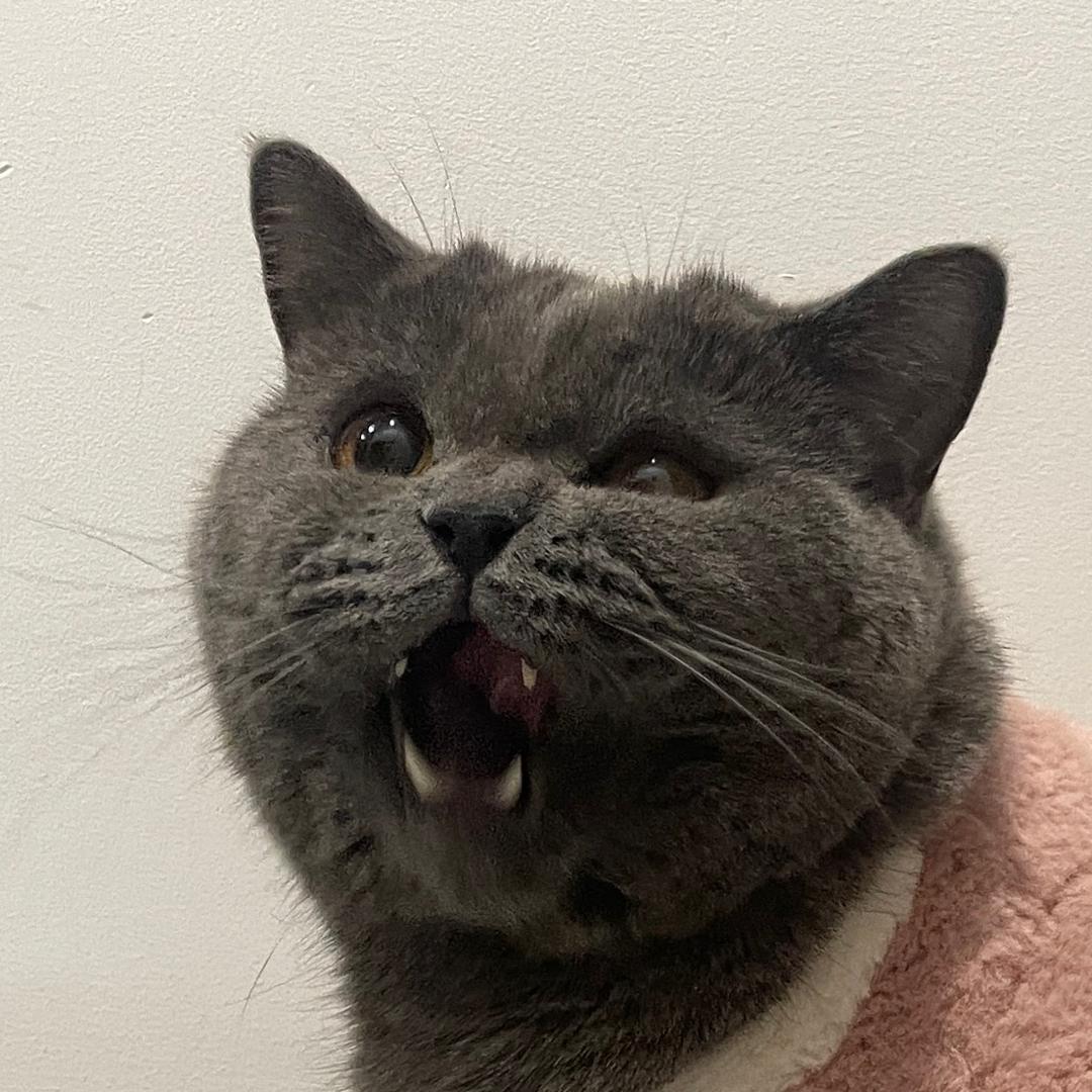 🫡嗯嗯嗯Em