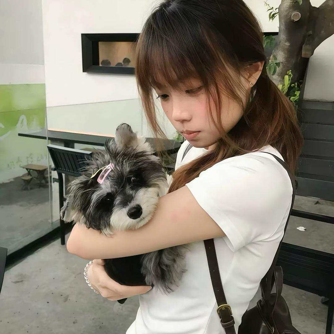 小绵羊