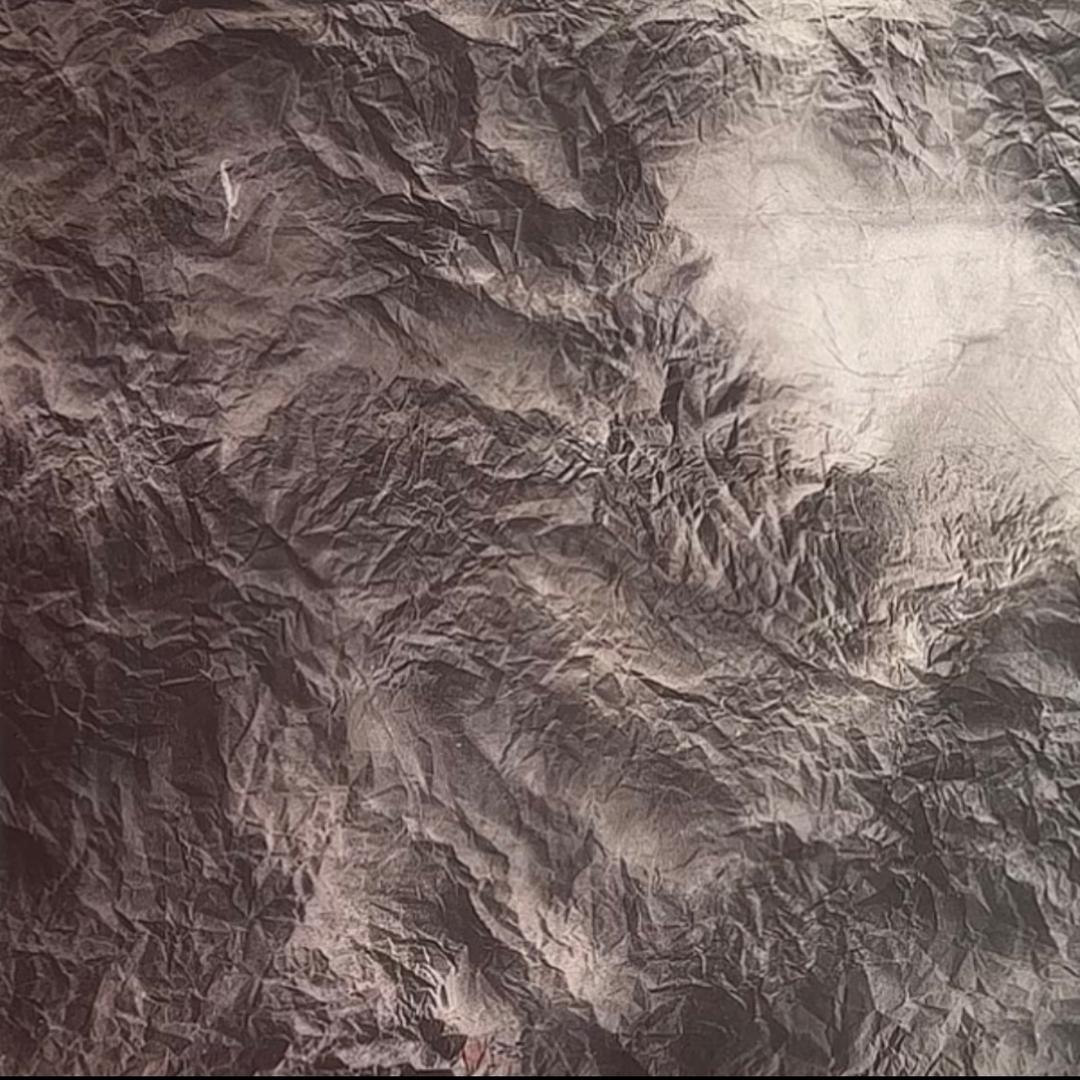 ≋⋆⑅⃟꙳⋆ ◌