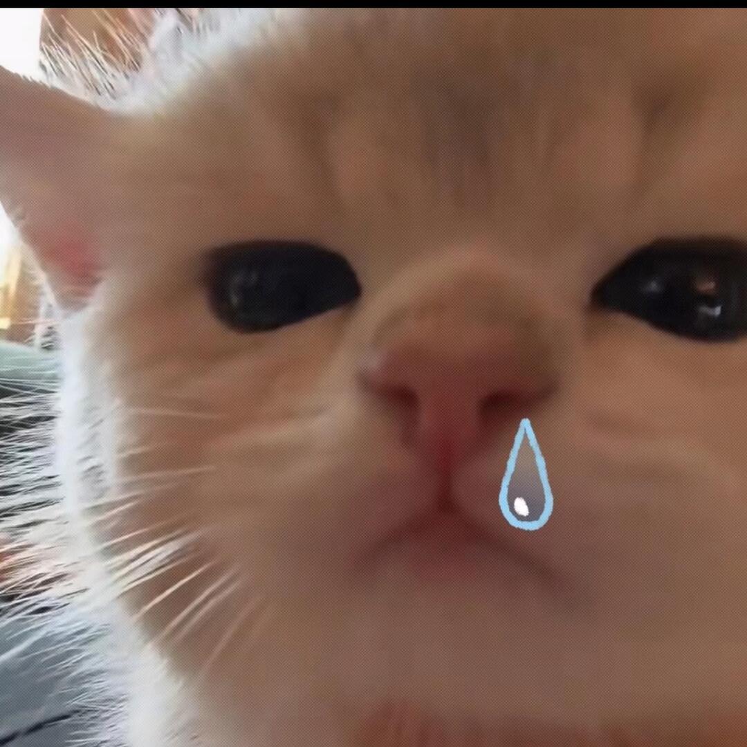 是我荔枝