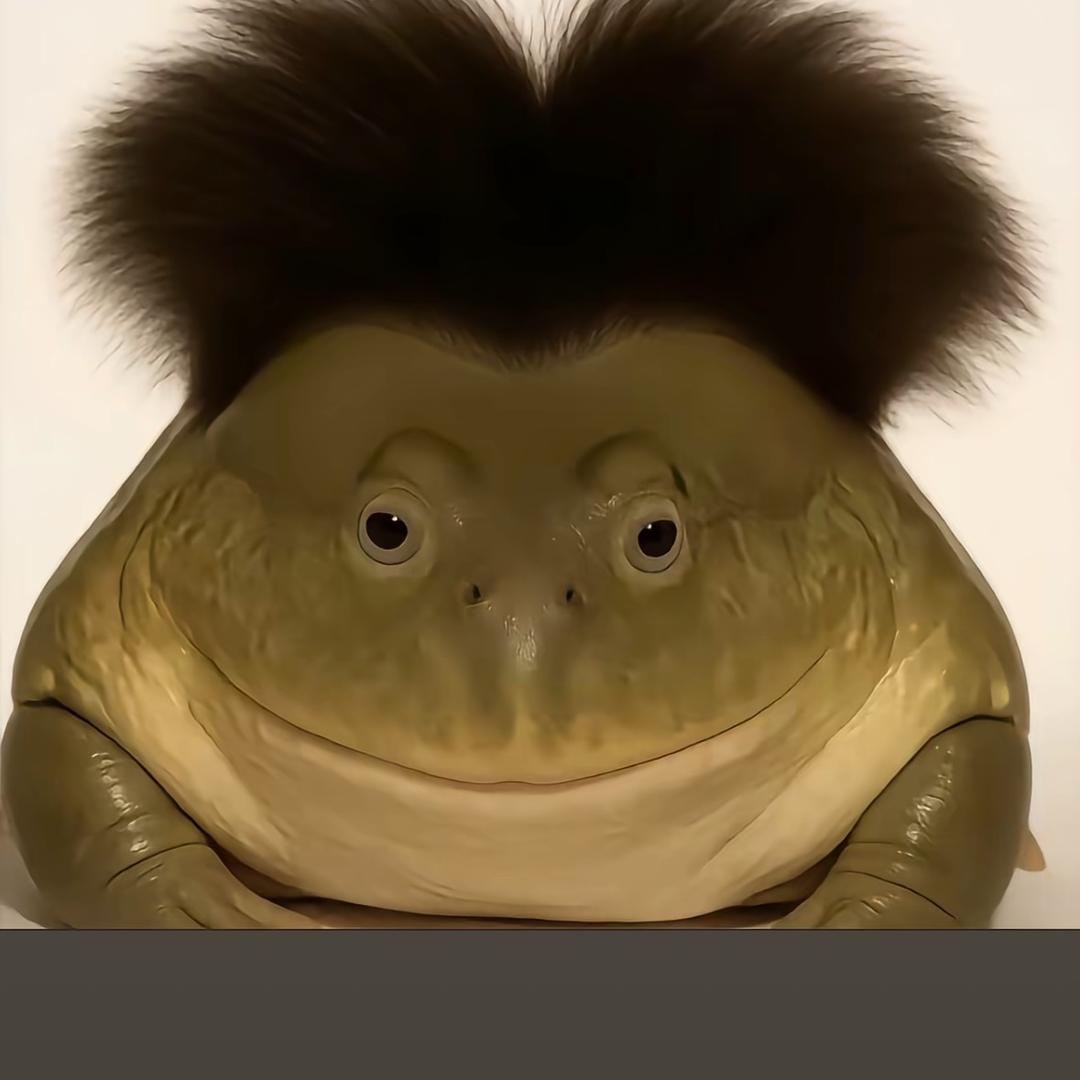 癞可宝