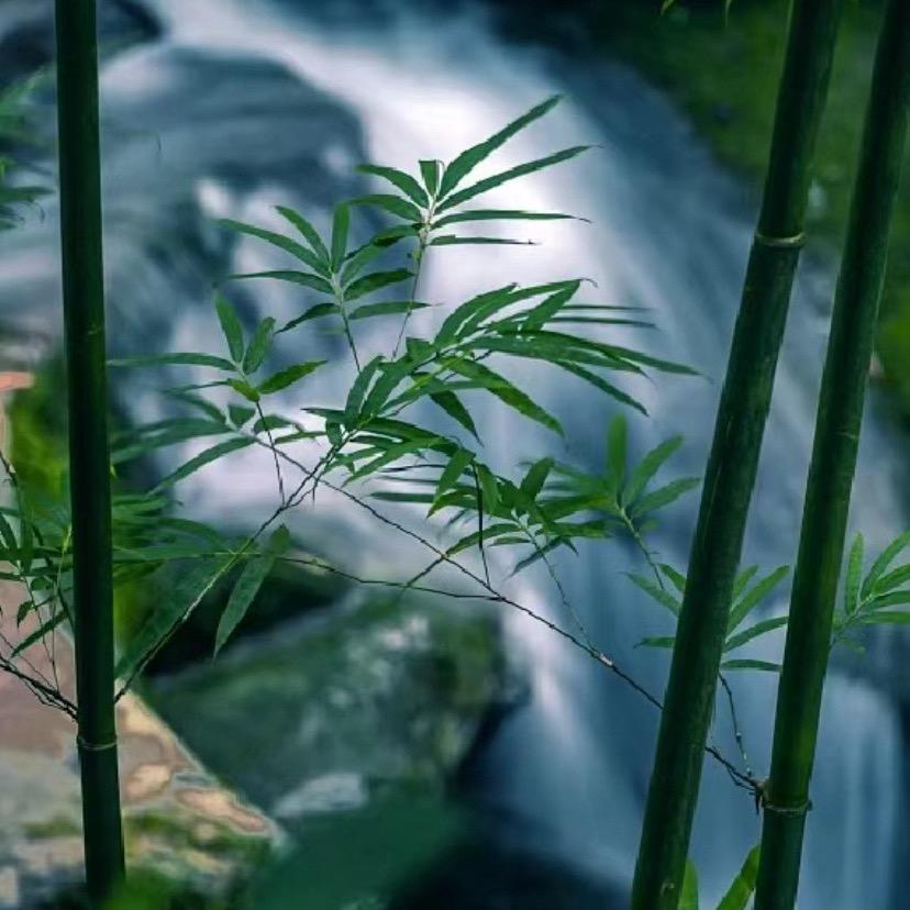 依云老师