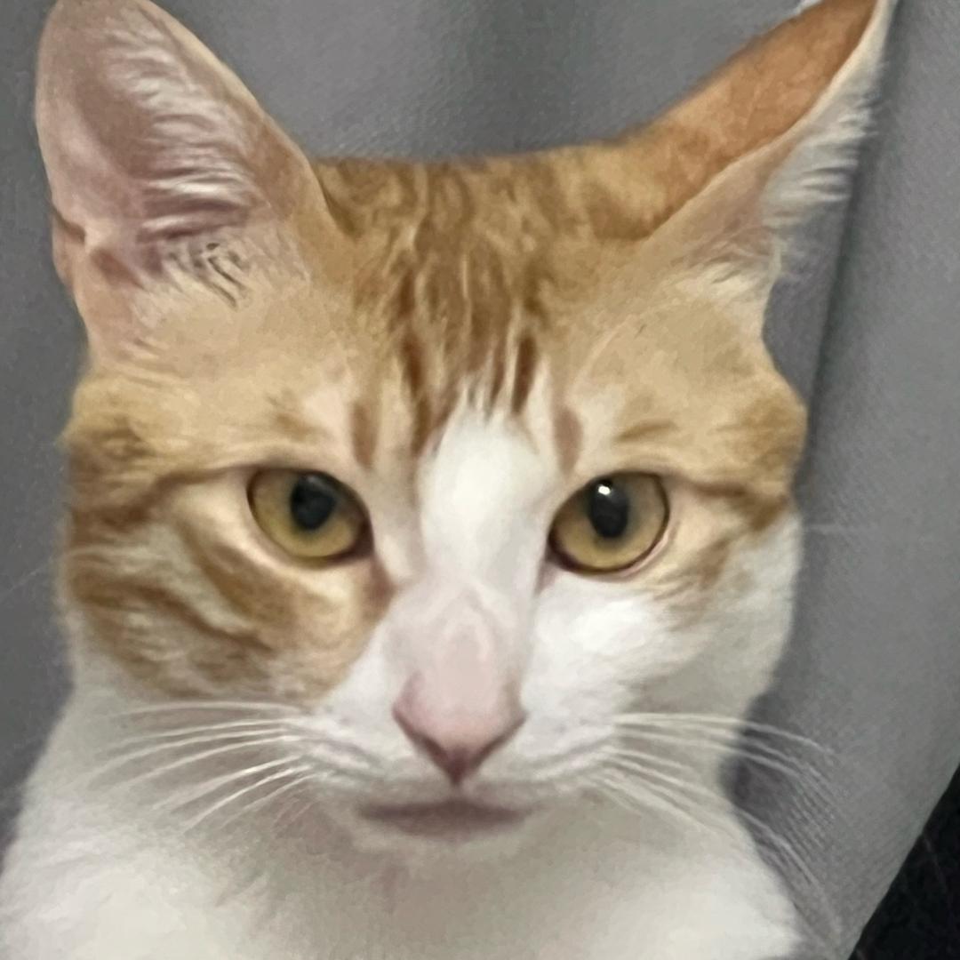 1。。。