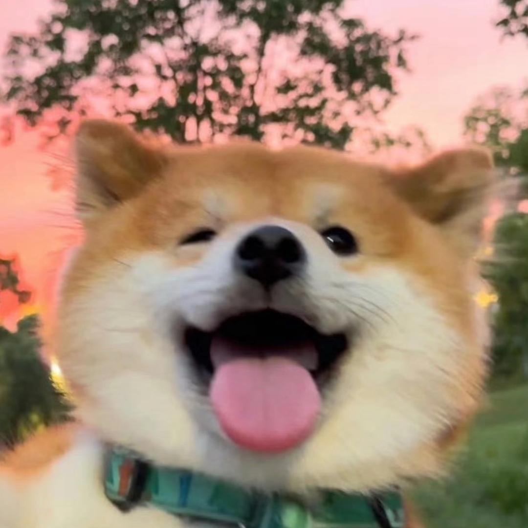 王母