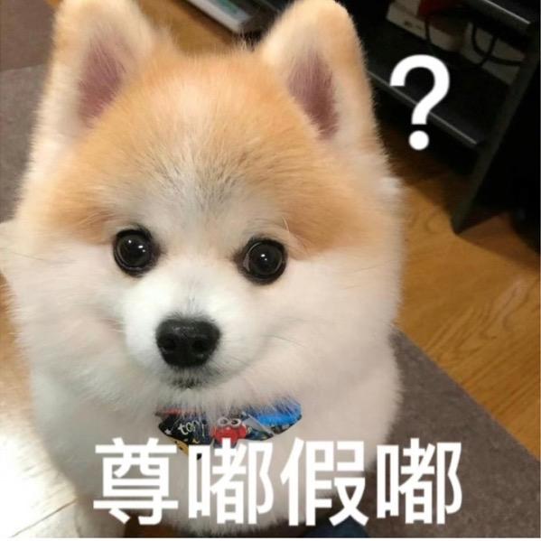 吃瓜momo